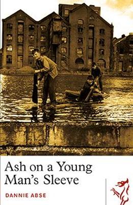 Ash on a Young Man's Sleeve book