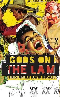 Gods on the Lam book