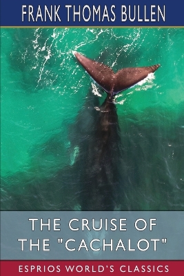 The Cruise of the 