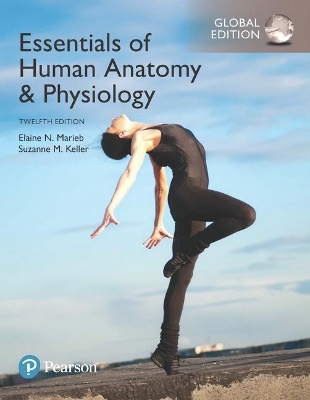 Essentials of Human Anatomy & Physiology, Global Edition by Elaine Marieb