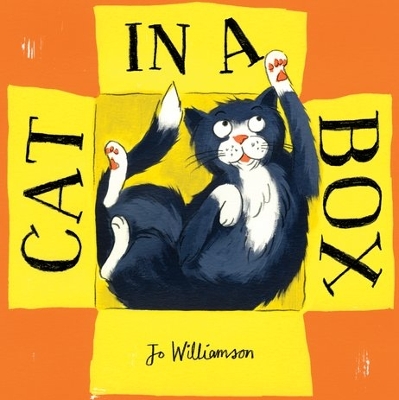 Cat in a Box book