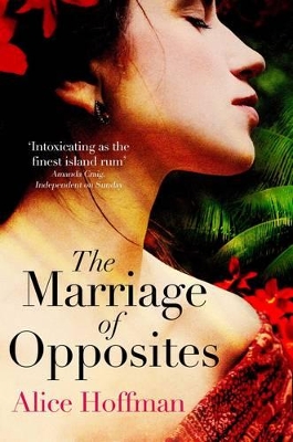 Marriage of Opposites book
