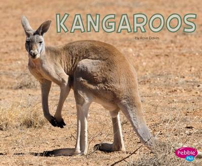 Kangaroos by Rose Davin