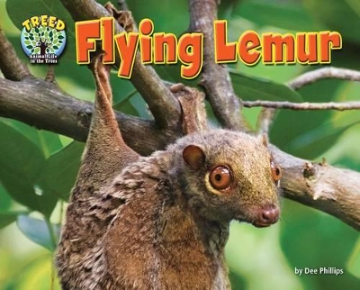 Flying Lemur by Dee Phillips