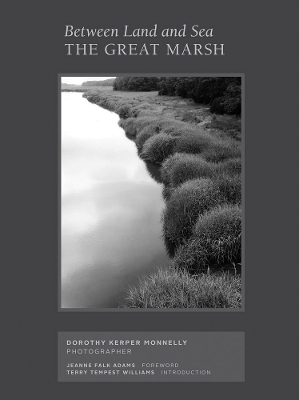 Between Land and Sea: The Great Marsh: Photographs by Dorothy Kerper Monnelly book