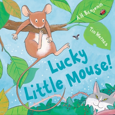 Lucky Little Mouse book