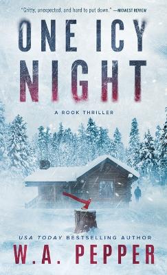 One Icy Night book