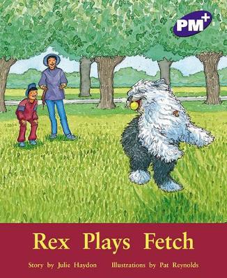 Rex Plays Fetch book