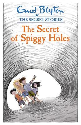 Secret Stories: The Secret of Spiggy Holes book