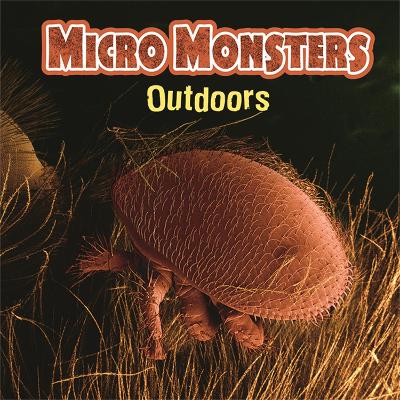 Micro Monsters: Outdoors book