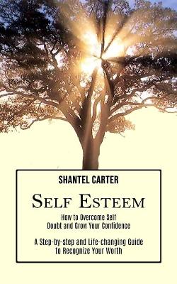 Self Esteem: A Step-by-step and Life-changing Guide to Recognize Your Worth (How to Overcome Self Doubt and Grow Your Confidence) book