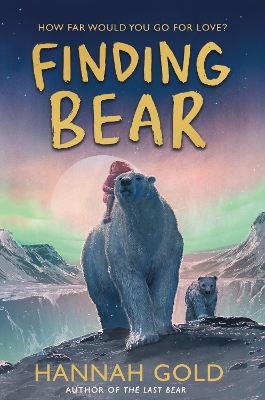 Finding Bear book