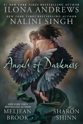 Angels Of Darkness book