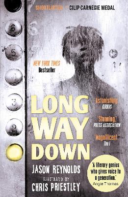Long Way Down book