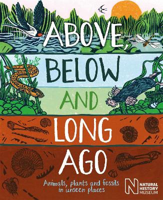 Above, Below and Long Ago: Animals, plants and fossils in unseen places by Michael Bright