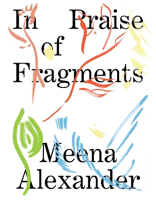 In Praise of Fragments book