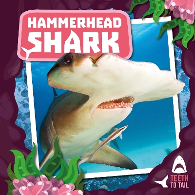 Hammerhead Shark: Teeth to Tail book