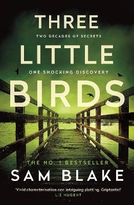 Three Little Birds: 'The modern-day Agatha Christie' Steve Cavanagh by Sam Blake