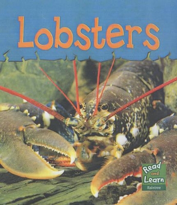 Lobsters book