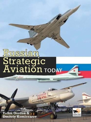 Russian Strategic Aviation Today book