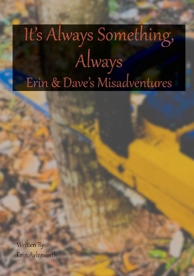 It's Always Something, Always Erin & Dave's Misadventures book