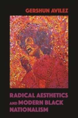 Radical Aesthetics and Modern Black Nationalism by GerShun Avilez