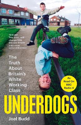 Underdogs: The Truth About Britain's White Working Class book