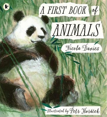 A A First Book of Animals by Nicola Davies