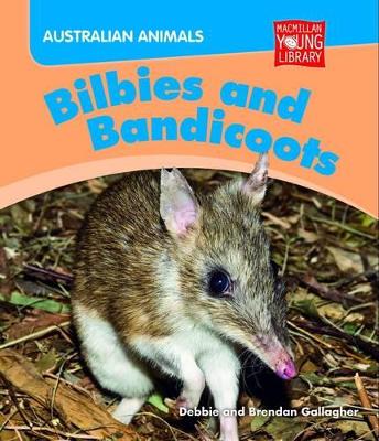 Australian Animals: Bilbies and Bandicoots book