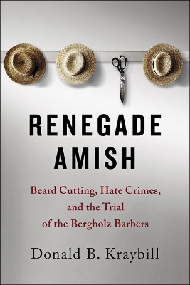 Renegade Amish book