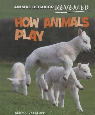 How Animals Play book