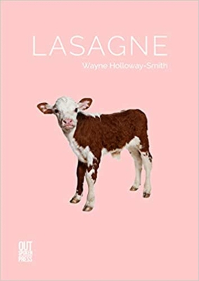 Lasagne book