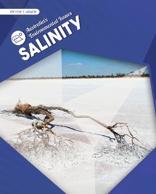 Salinity by Peter Turner