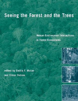 Seeing the Forest and the Trees book