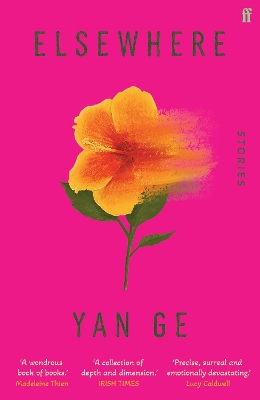 Elsewhere: 'Wonderful writing' Sarah Hall by Yan Ge