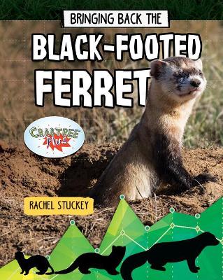 Bringing Back the Black-Footed Ferret book