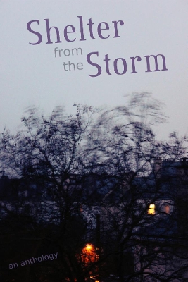 Shelter from the Storm: An Anthology book