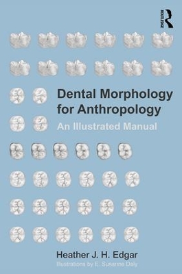Dental Morphology for Anthropology book