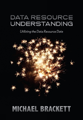 Data Resource Understanding book