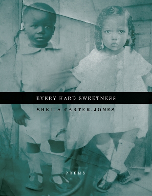 Every Hard Sweetness book