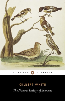 Natural History of Selborne book