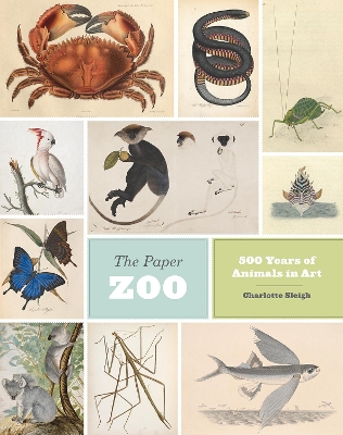 Paper Zoo by Charlotte Sleigh