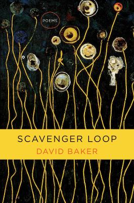 Scavenger Loop by David Baker