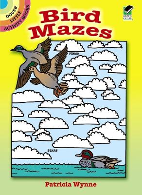 Bird Mazes book