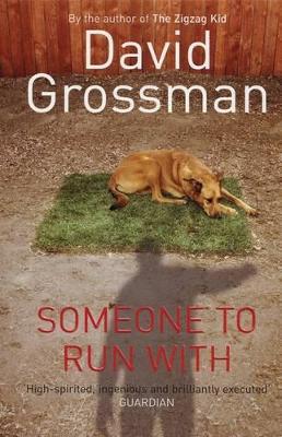 Someone to Run with by David Grossman