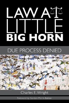 Law at Little Big Horn book