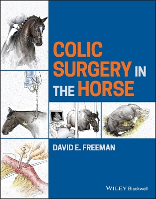 Colic Surgery in the Horse book