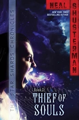 Thief of Souls book