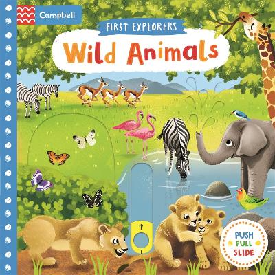 Wild Animals book