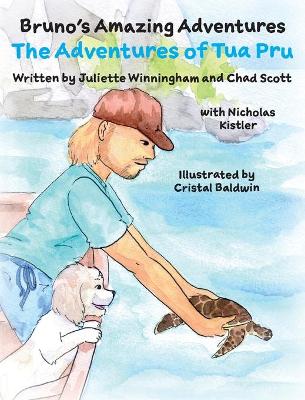 The Adventures of Tua Pru book